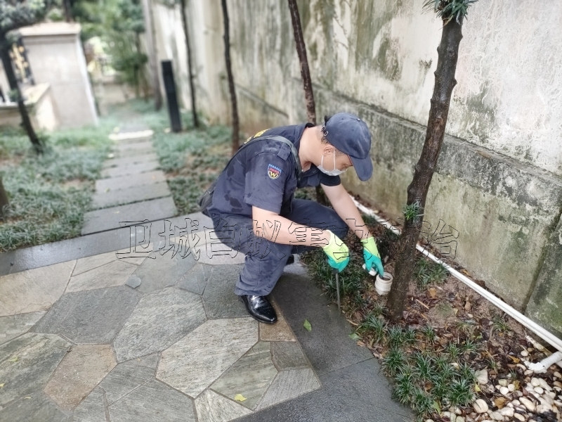 花都区赤坭白蚁防治中心,广州花都赤坭灭白蚁就选卫城公司