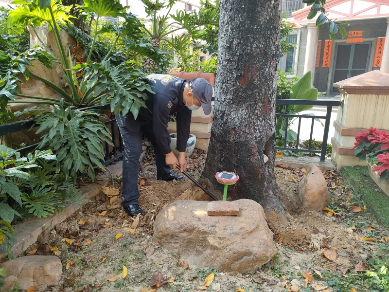 惠州市龙门县白蚁防治,龙门县灭治白蚁公司,龙门县白蚁防治中心,龙门县别墅白蚁防治