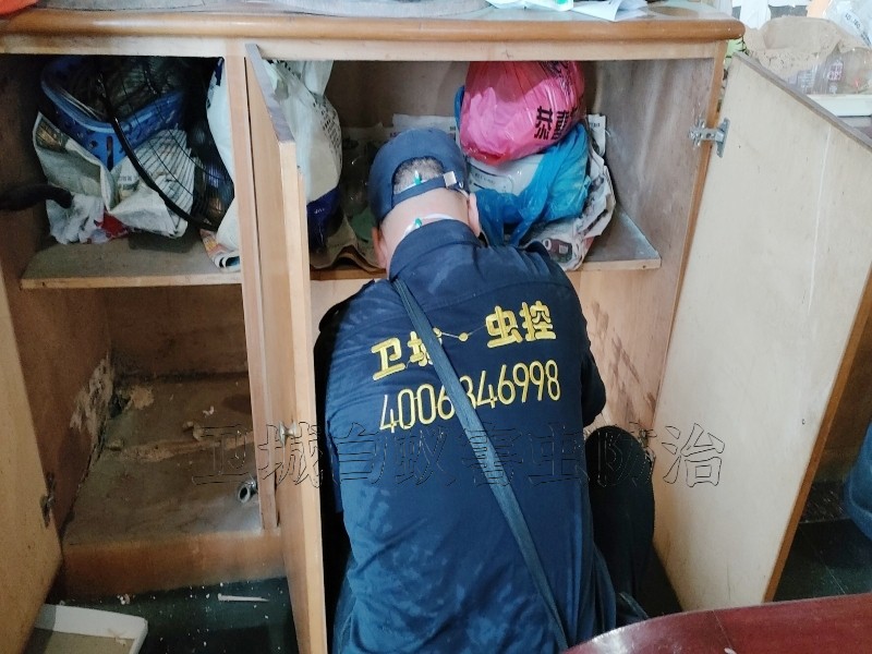 惠州靠谱白蚁防治公司推荐