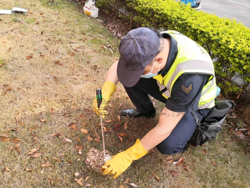 惠州消杀书虱|惠州淡水杀臭虫除跳蚤灭狗蚤