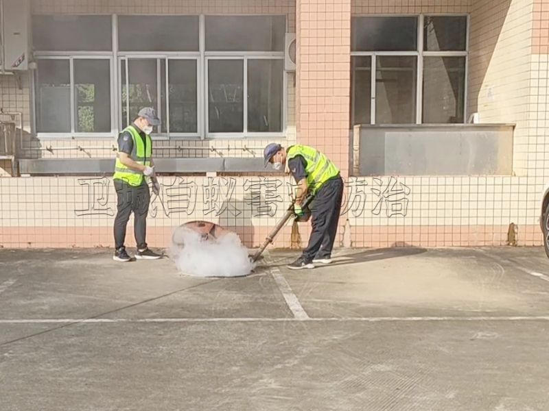 防蚊灭蚁是预防登革热的关键-惠州杀虫公司，惠州虫害消杀